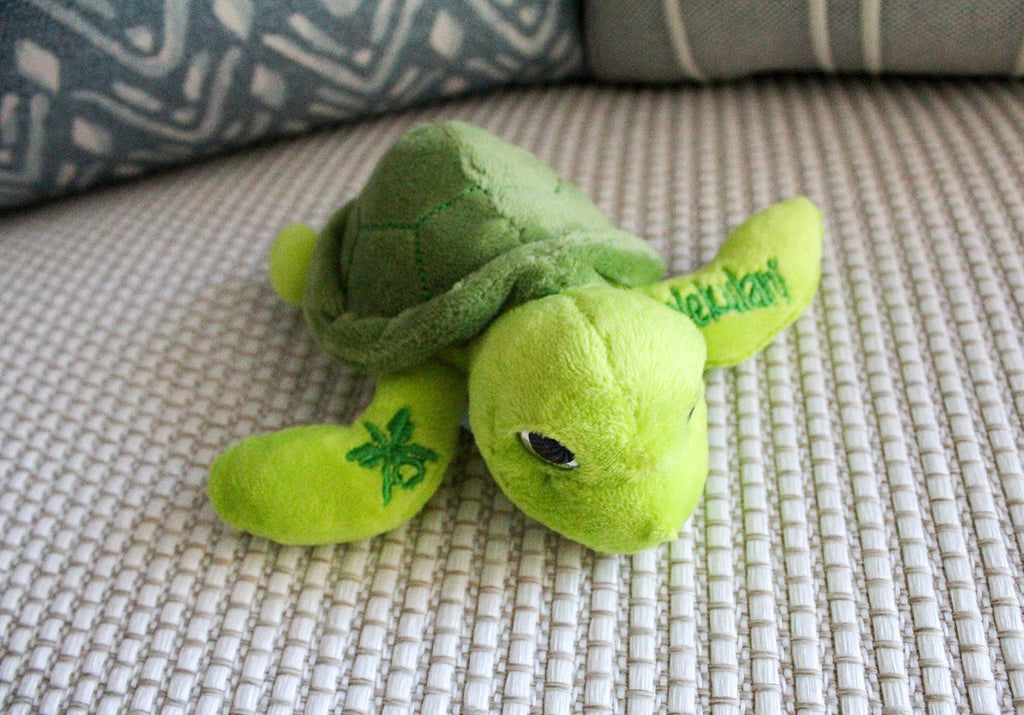 Halekulani Green Sea Turtle Plush Mini Magnet